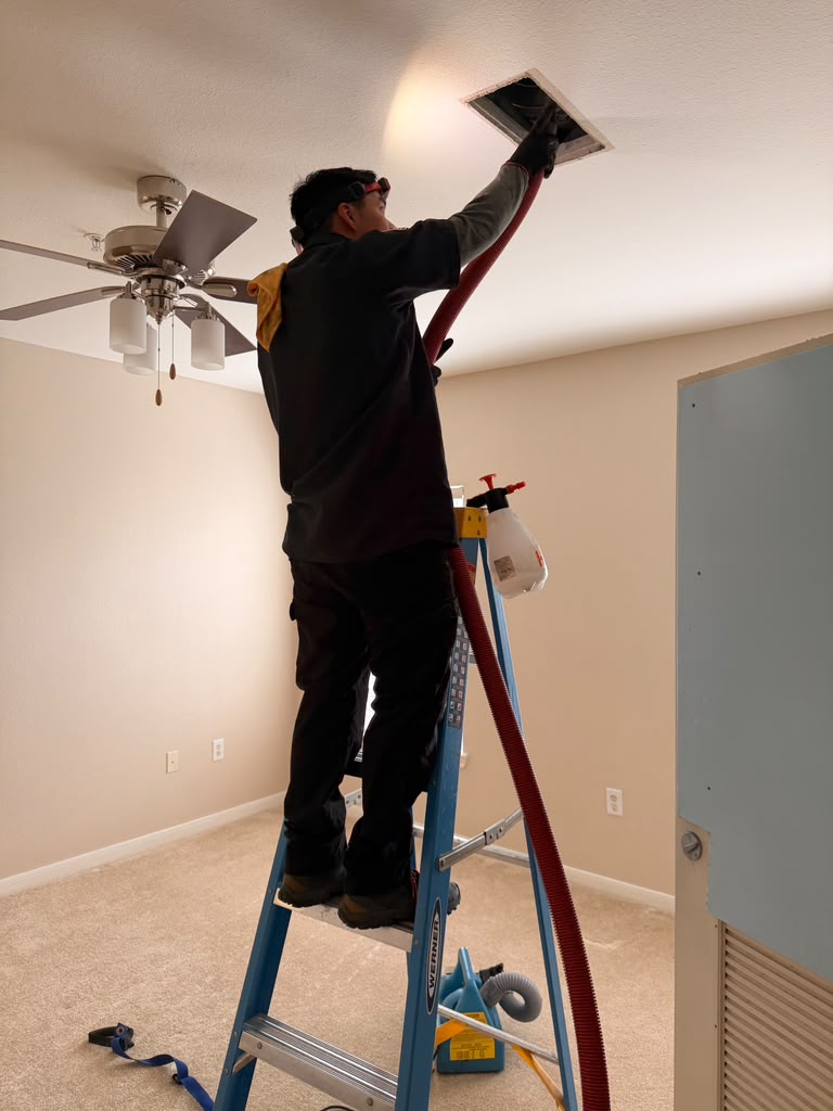 Attic Extraction